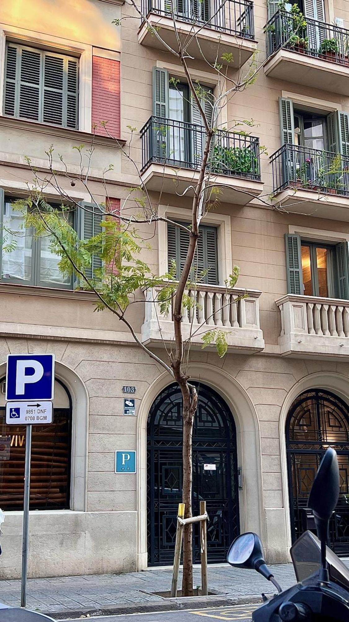 Hostal Madrazo Barcelona Bagian luar foto
